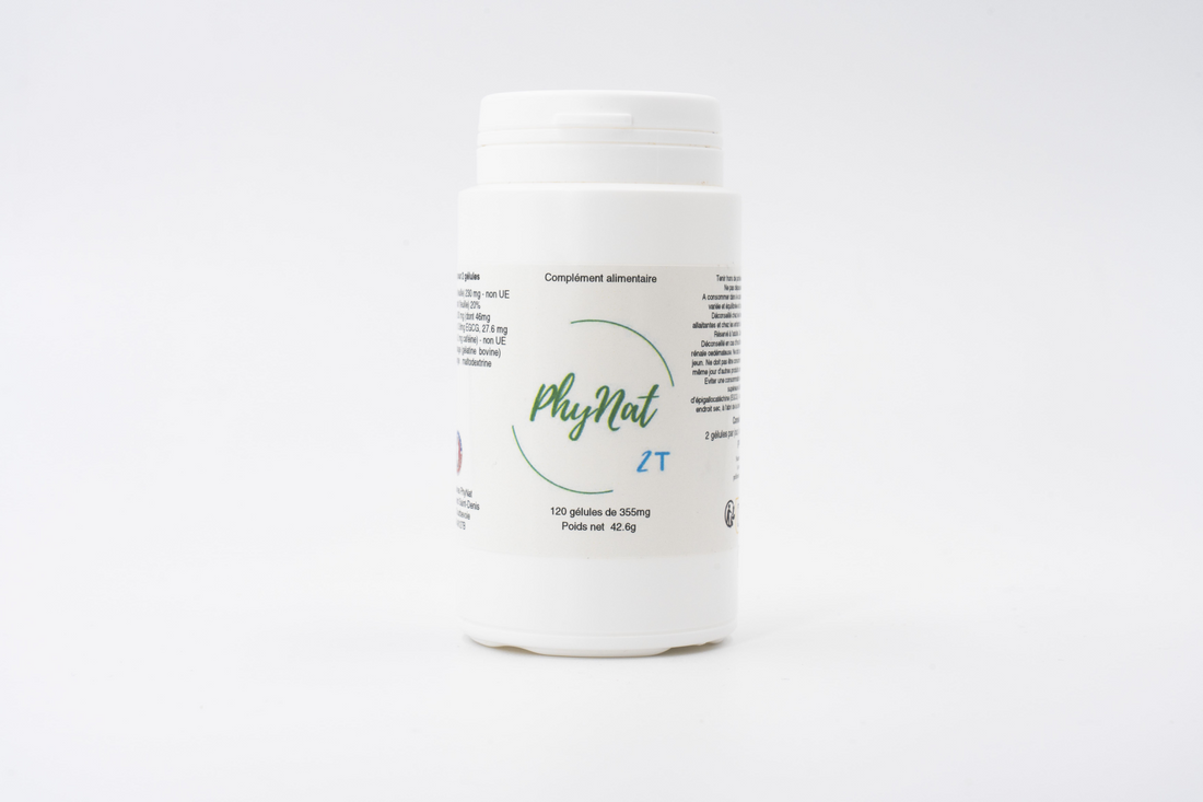 PhyNat 2T
